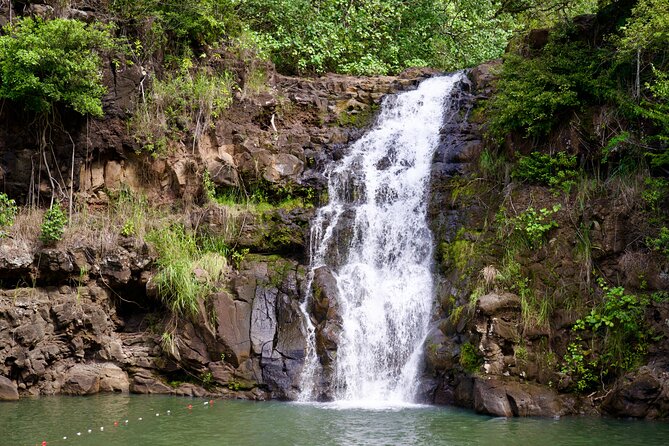 Private Tour Oahu including Waimea Waterfall-Customizable - Haleiwa Beach Park: sea turtles and real North Shore coastline