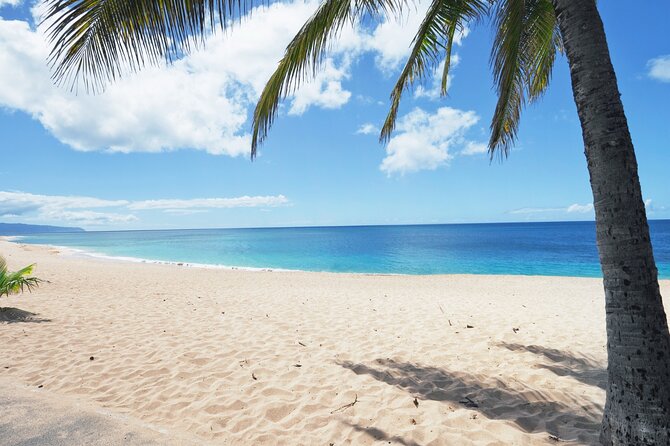 PRIVATE TOUR-Ultimate North Shore Experience - Haleiwa Town Center and Kawela Bay: surf culture and quiet turtle spotting