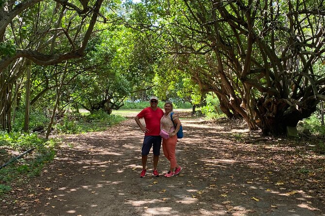 PRIVATE TOUR-Ultimate North Shore Experience - Dole Plantation: the pineapple-themed wrap-up