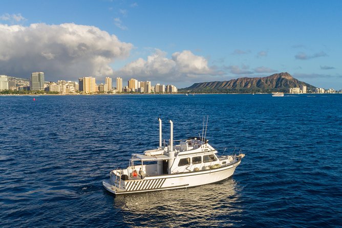 Private Turtle Canyon Snorkel Tour - Up to 6 Passengers - What you do out on the water: snorkeling, turtles, and wildlife spotting
