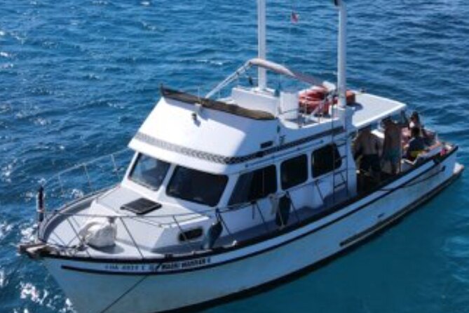 Private Turtle Canyon Snorkel Tour - Up to 6 Passengers - Timing, meeting point, and how to avoid stress