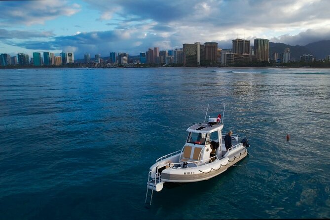 Private Turtle Snorkel & Cruise Waikiki - Price and value: does $750 per person pencil out?