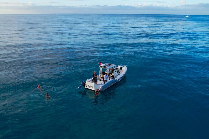Private Turtle Snorkel & Cruise Waikiki - Should you book Private Turtle Snorkel & Cruise Waikiki?