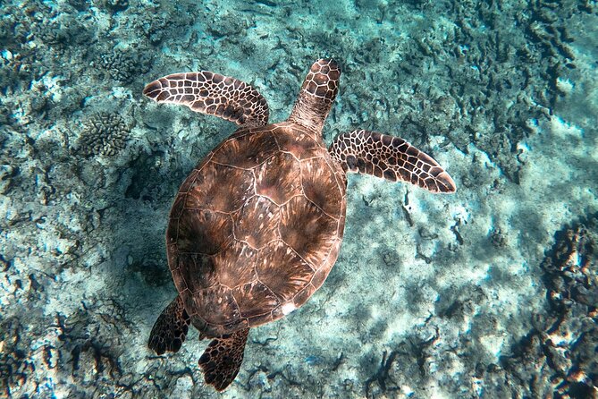 Private Waikiki Boat Charter – Create Your Own Ocean Experience - Meeting Point, Parking, and What to Bring