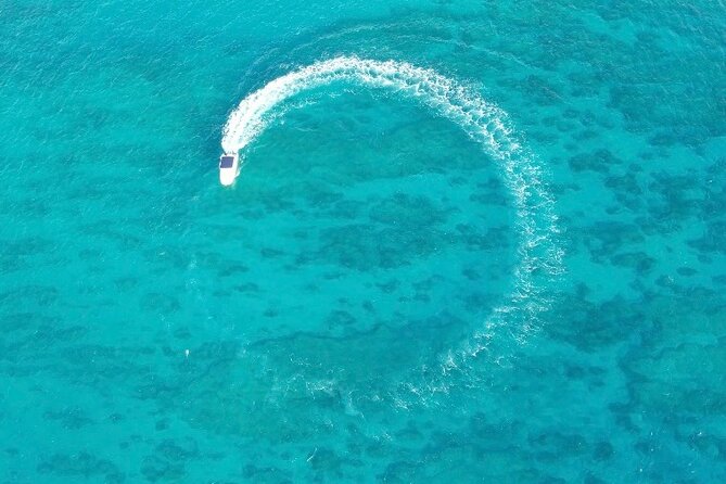 Private Waikiki Boat Charter – Create Your Own Ocean Experience - Captain Dan and Stephanie: Why a Private Guide Matters