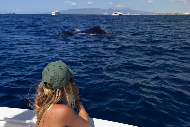 Private Whale Watching Activity: 6 passengers max - Logistics That Affect Your Day (Without Making It Stressful)