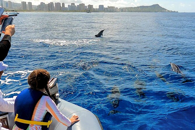 Private Whale Watching Adventure - Morning vs. afternoon: how timing can affect your whale odds