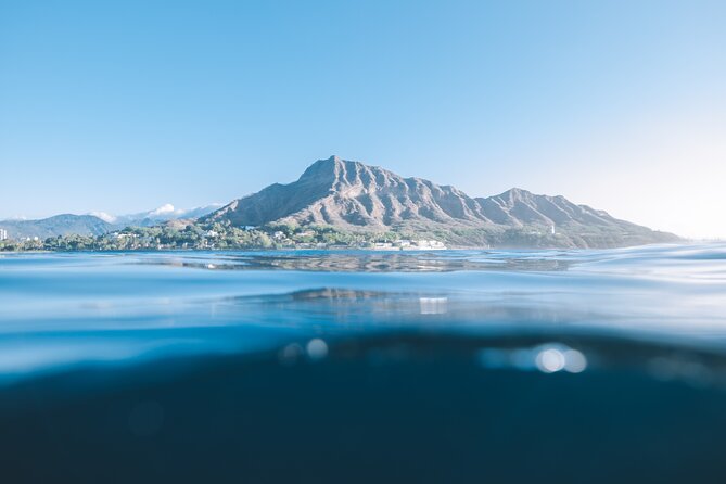 Private Whale Watching and Coastal Swimming Tour Honolulu - Private catamaran value in Honolulu’s whale season
