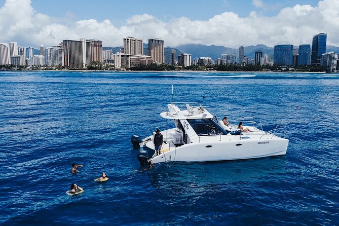 Private Whale Watching and Coastal Swimming Tour Honolulu - Coastal swimming and snorkeling with sea turtles