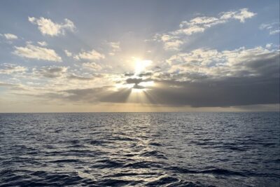 Private Whale Watching and Dolphin Excursion - Meeting at Ala Moana and What You Should Bring