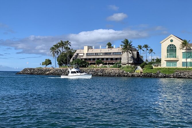 Private Whale Watching and Dolphin Excursion - Boat Comfort and Cleanliness: Comfort Can Make or Break the Trip