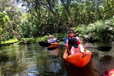 Rainforest River Kayak Self-Guided Kayak Tour - Where You Start (And Why the Location Setup Is Part of the Experience)