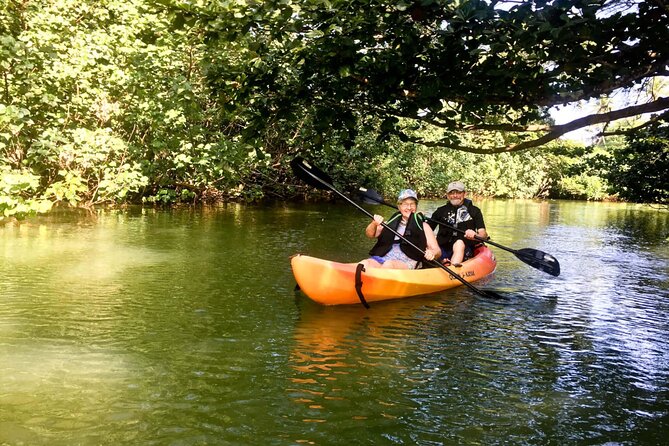 Rainforest River Kayak Self-Guided Kayak Tour - Your Time on the Water: What 4 Hours Feels Like