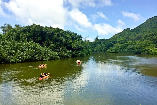Rainforest River Kayak Self-Guided Kayak Tour - Route Choice: How to Get More Jungle (and Less “Canal” Feel)