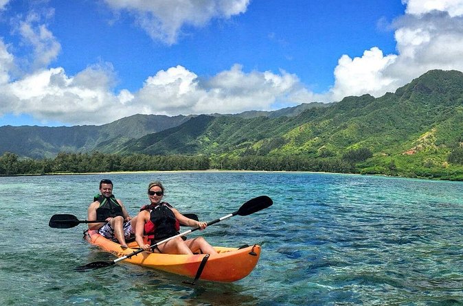 Rainforest River Kayak Self-Guided Kayak Tour - Setting Up the Kayak: The Part You Don’t Want to Waste Time On