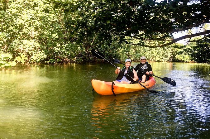 Rainforest River Kayak Self-Guided Kayak Tour - Who This Tour Suits Best (And Who Might Feel Frustrated)