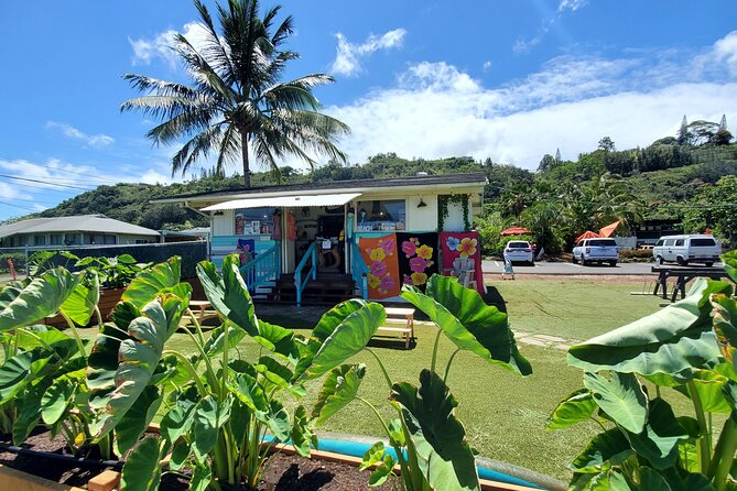 Round Trip North Shore Shuttle from Waikiki to Haleiwa Town / Haleiwa Harbor - How This Waikiki to Haleiwa Shuttle Really Feels
