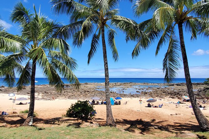 Round Trip North Shore Shuttle from Waikiki to Haleiwa Town / Haleiwa Harbor - The Return Trip: Waikiki Again, With One Easy Stop