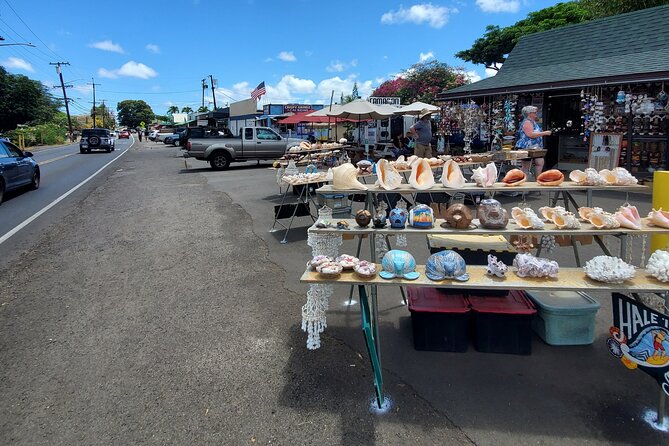 Round Trip North Shore Shuttle from Waikiki to Haleiwa Town / Haleiwa Harbor - The Driver Factor: Safety, Timing, and Little Lessons