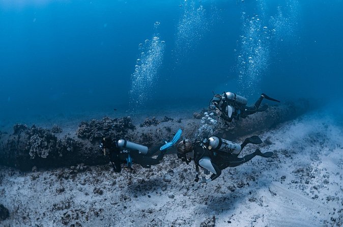 Scuba Dive at Electric Beach - Gear Fit, Safety Briefing, and the First Descent Moment