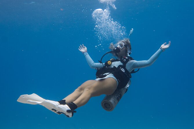 Scuba Dive at Electric Beach - The Reef Features You Should Look For (So You Don’t Miss the Good Stuff)