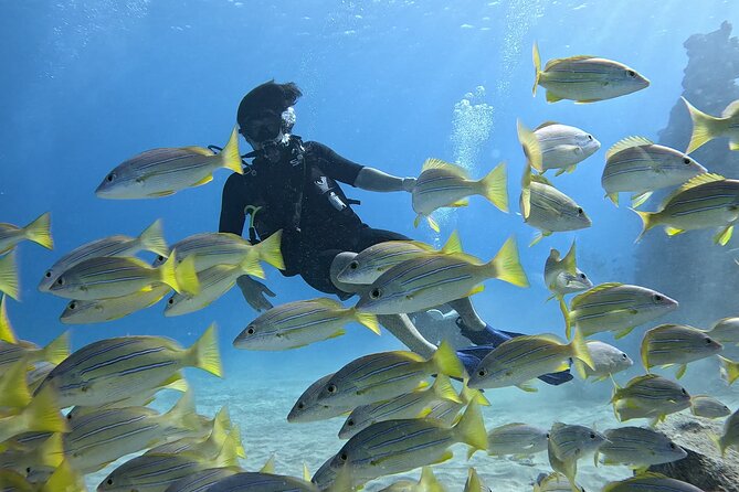 SCUBA Dive at Electric Beach with Photos -No Certification Needed - Key highlights you’ll feel right away