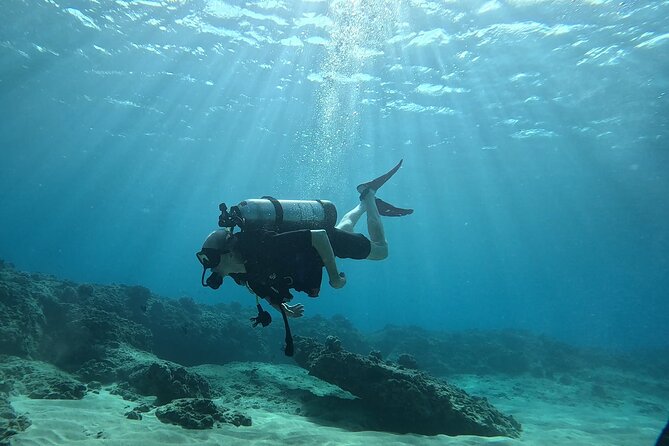 SCUBA Dive at Electric Beach with Photos -No Certification Needed - Electric Beach and Kahe Point: the Oahu combo built for beginners