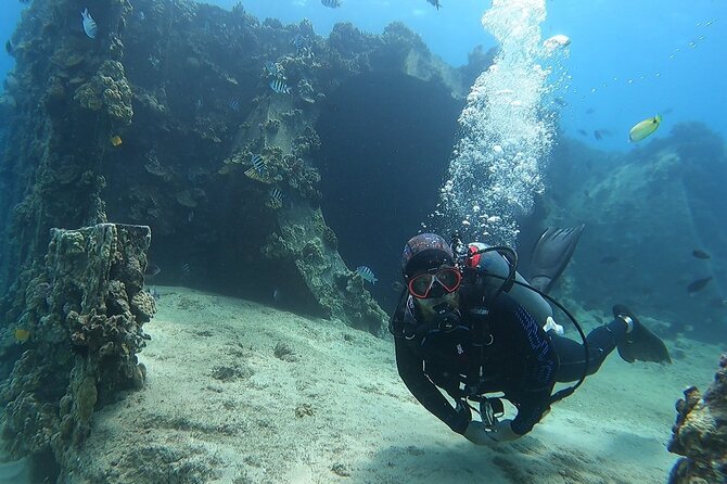 SCUBA Dive at Electric Beach with Photos -No Certification Needed - Price and value: why $130 feels fair for beginners here