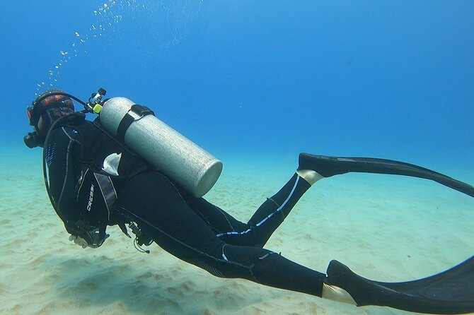 SCUBA Dive at Electric Beach with Photos -No Certification Needed - Safety realities: swimming ability, weather, and the 24-hour flight rule
