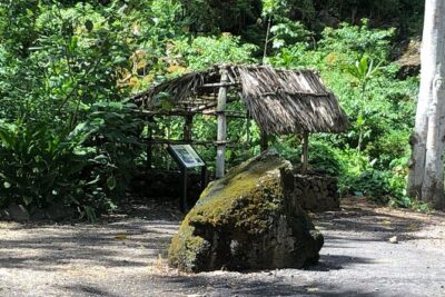 Sea / Eat & See The North Shore - Haleiwa, fruit stands, and a macadamia farm stop you can actually taste