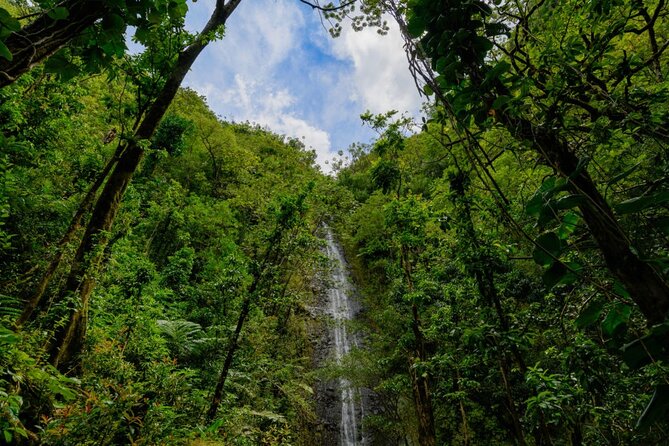 Self Guided Hike Trail to Nature Walk & Waterfall - The Tantalus Lookout Segment: Diamond Head and Waikiki From Above