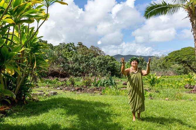 Semi Private Honolulu Historical Tour - Why This 5–6 Hour Honolulu History Tour Feels Worth It