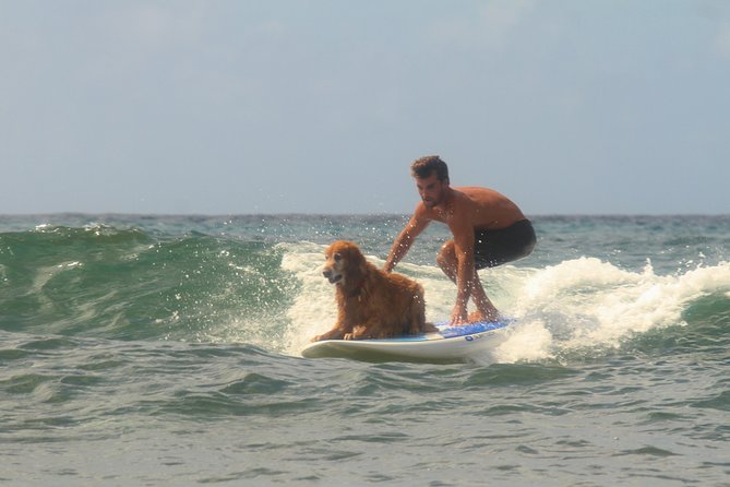 Semi-Private Surf Lesson - Timing and What a 2-Hour Session Feels Like
