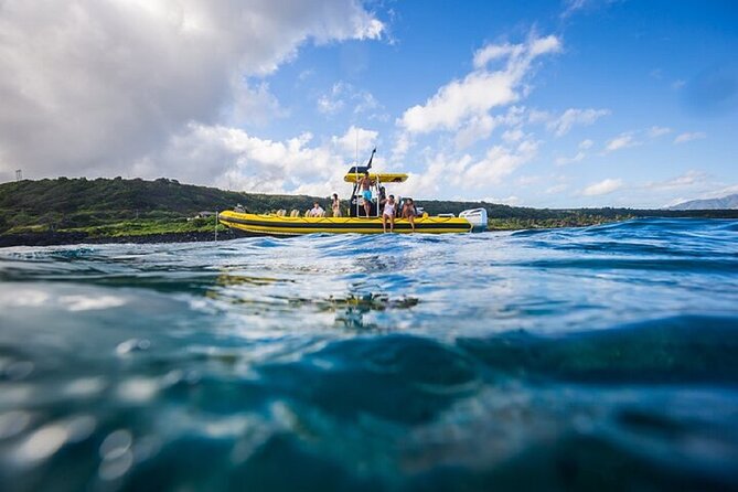 Shark-Dive Tour on Oahu's North Shore - Gear, boat size, and why the crew matters