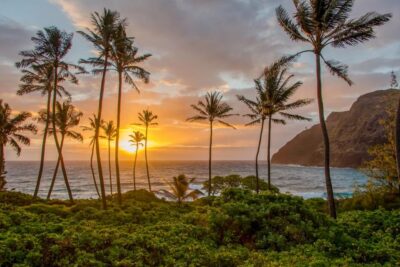 Small Group 3 Hour Honolulu Sunrise Tour with Malasadas - Picking up in Waikīkī: where you board and why confirmation matters