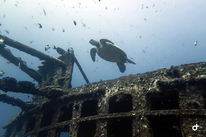 Small-Group Deep Dive in Oahu with Shipwreck and Reef - Who This Charter Is For: Advanced Certification Isn’t Optional