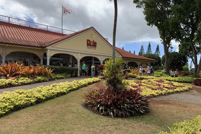 Small Group-Oahu Tour, Dole Plantation, Northshore, Sunset Beach - Kamehameha statues: why replicas have their own stories