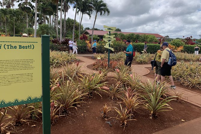 Small Group-Oahu Tour, Dole Plantation, Northshore, Sunset Beach - Punchbowl (Puowaina): a quiet memorial pause on your route