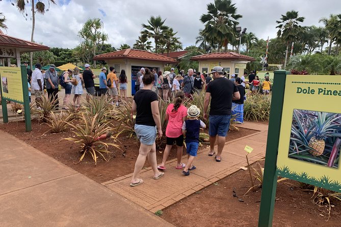 Small Group-Oahu Tour, Dole Plantation, Northshore, Sunset Beach - Polynesian Cultural Center: hula time and how the guide helps you enjoy it