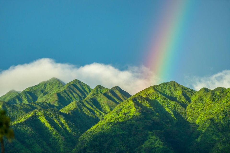 Small Group Tour of Honolulu Scenic Vistas with Sunset - Key highlights worth getting excited about