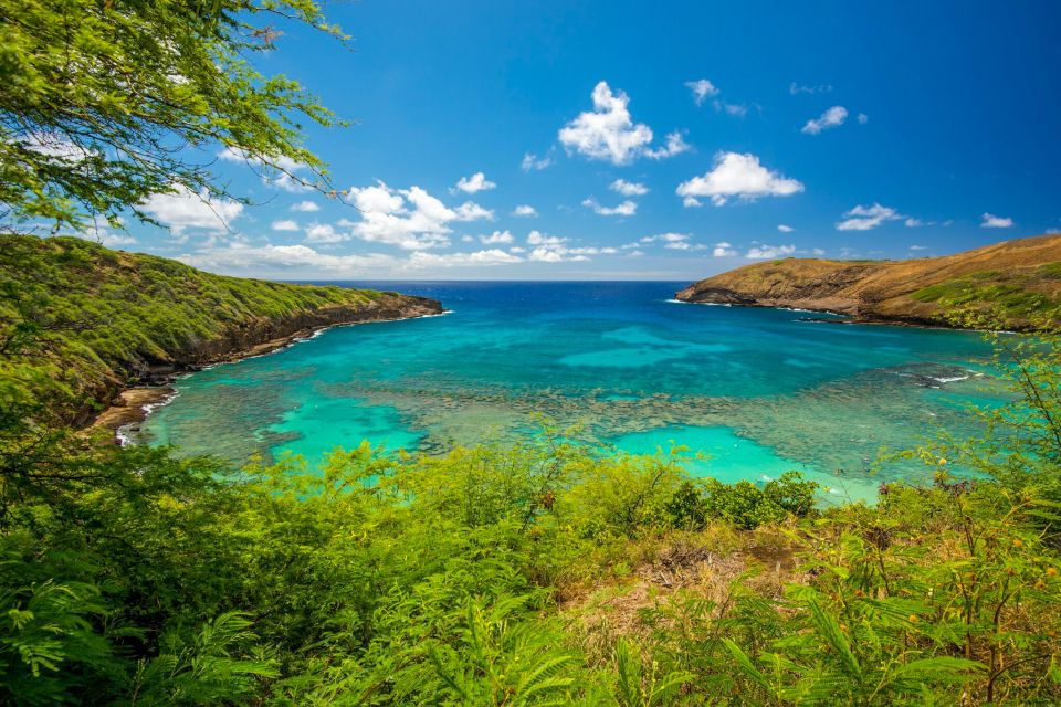 Small Group Tour of Honolulu Scenic Vistas with Sunset - Price and value: is $100 for 5 hours worth it?