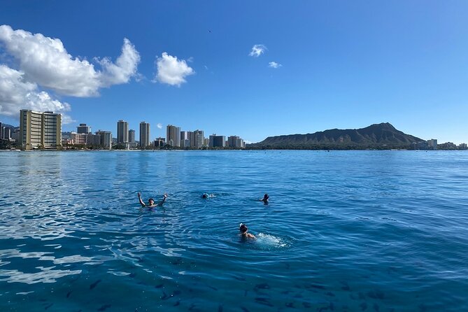 Small group Turtle Snorkel (16 people max): Sightings Guaranteed - Price and value: what $85 really buys you