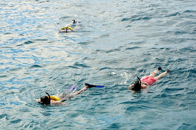 Small group Turtle Snorkel (16 people max): Sightings Guaranteed - Who this tour fits best (and who should think twice)