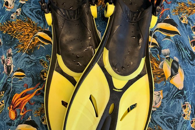 Snorkel Gears near Hanauma Bay - Getting to Hanauma Bay: Plan for a Short Ride, Not a Walk