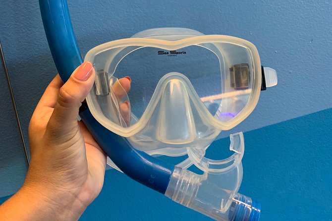 Snorkel Gears near Hanauma Bay - Snorkeling Time: Making the Most of Hanauma’s Clear Water