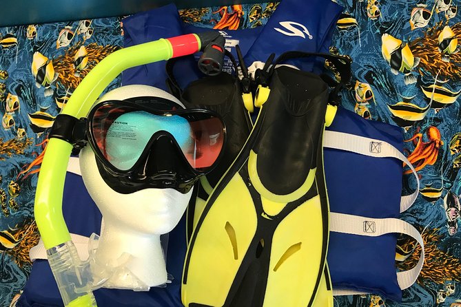 Snorkel Gears near Hanauma Bay - The Practical Value of $23.99: Where the Savings Come From