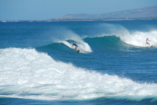 Snorkel with sharks on the North Shore of Oahu - Key Highlights Worth Your Time
