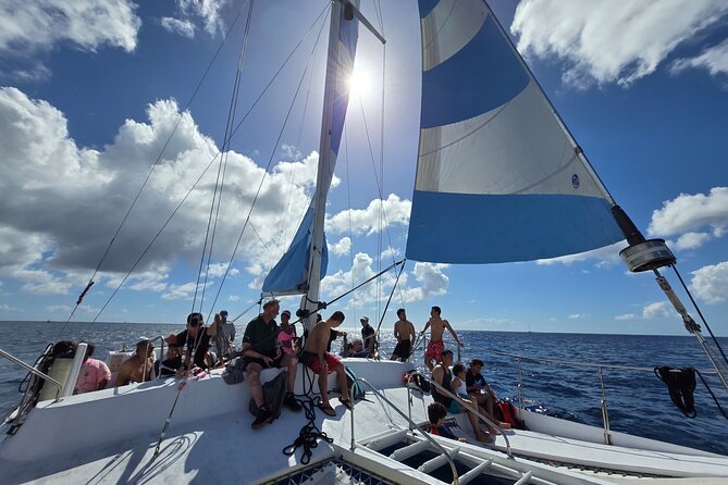 Snorkeling Adventure at Turtle Canyon - Group Size and Vibe: What 35 People Means on the Water