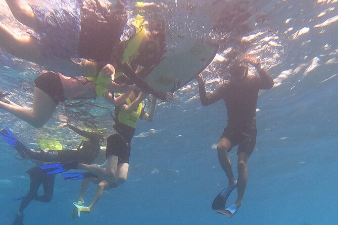 Snorkeling with Turtle/Water Scooter/Paddleboard Adventures Oahu - Meeting at Ala Moana Pier B: The Easy Start and Round-Trip Feel