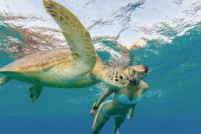 Snorkeling with Turtle/Water Scooter/Paddleboard Adventures Oahu - Guide Support That Shows Up When You Need It Most